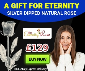 a beautiful silver-dipped natural rose