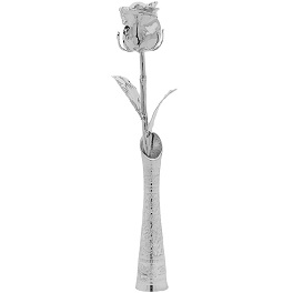 vase with planitum rose
